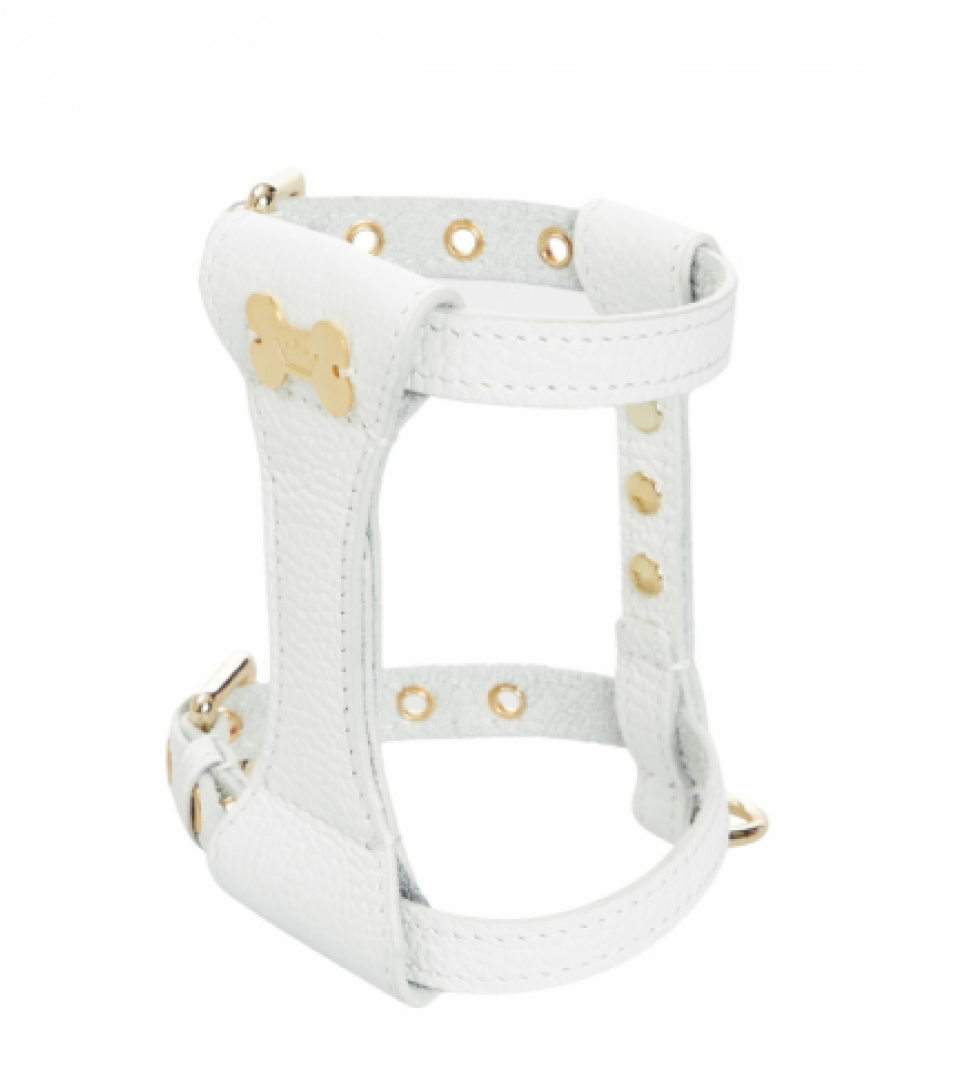 Шлейка Dot MALTIPOO Шкіряна White