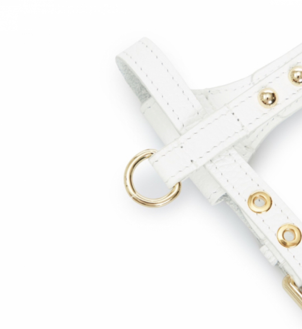 Шлейка Dot MALTIPOO Шкіряна White