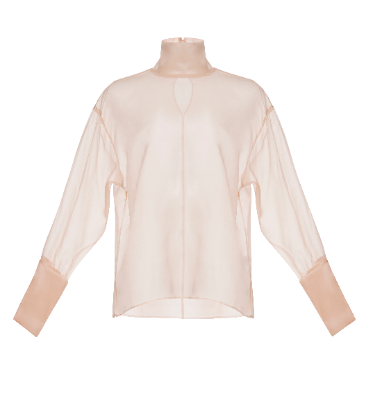 Sheer blouse
