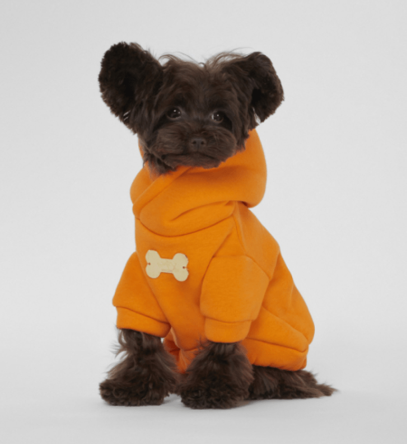 Худі MALTIPOO на 2 лапки Orange