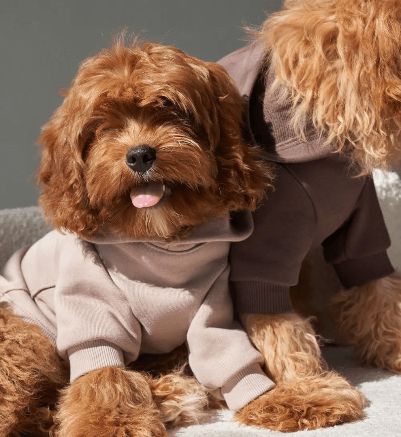 Худі CHOUCHOU для собак світло-бежевий