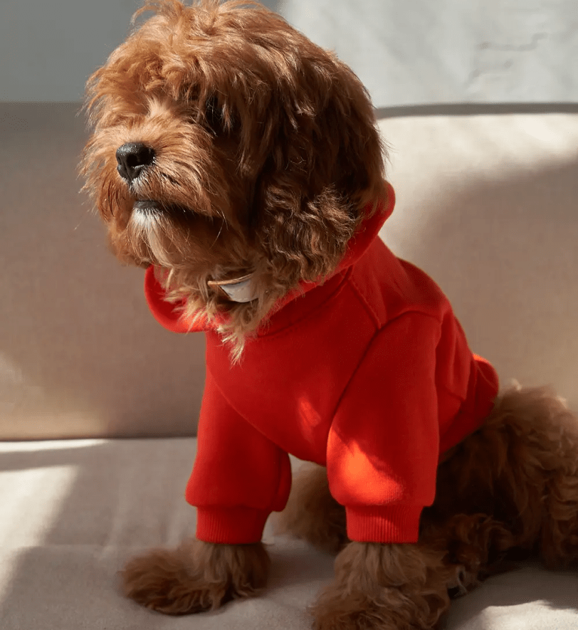 Худі CHOUCHOU для собак червоний