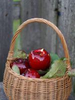 ЯБЛУКО ЧЕРВОНЕ бджолина свічка
