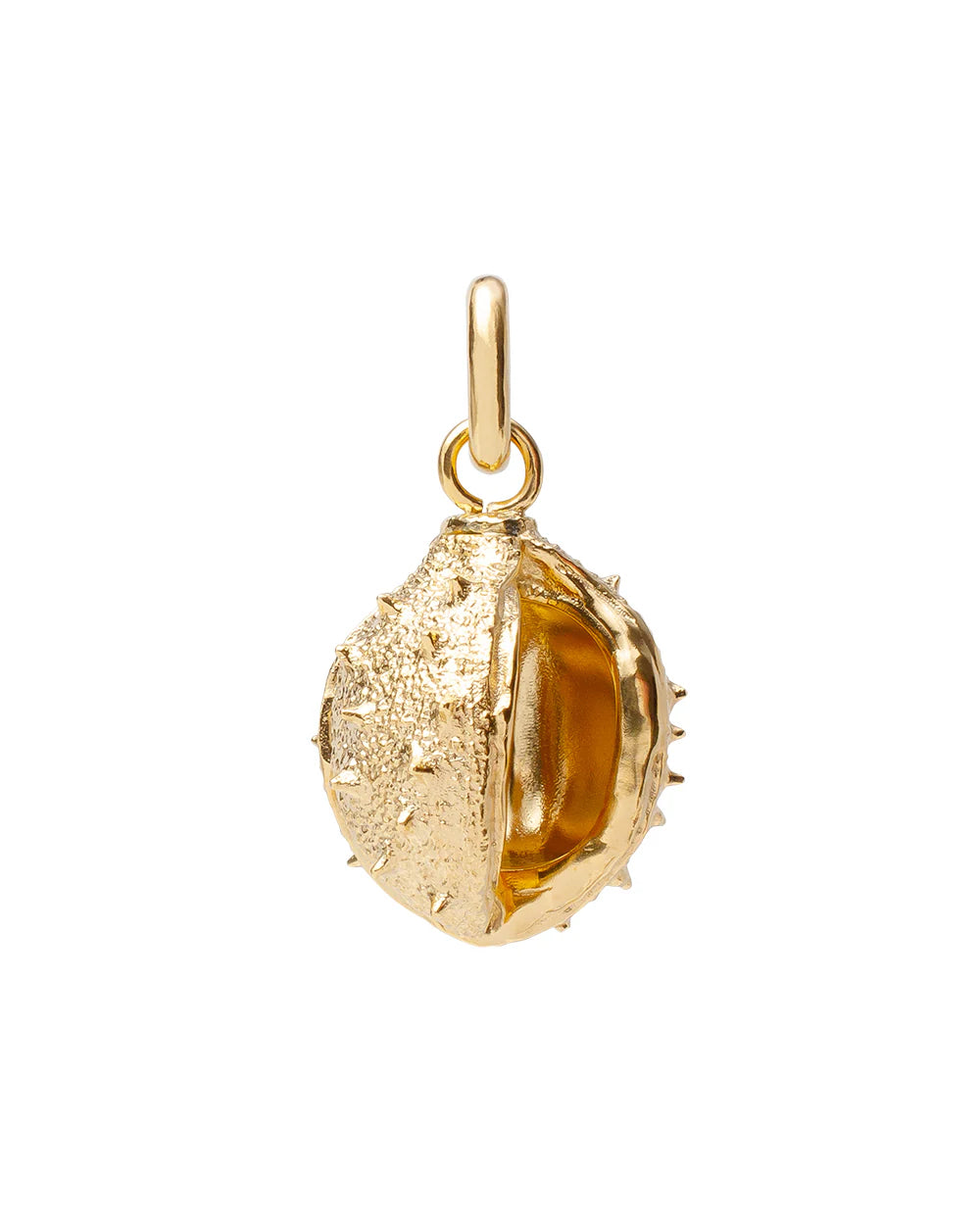 K23 Chestnut pendant made of brass covered with 24 carat gold plating / diameter 20 mm