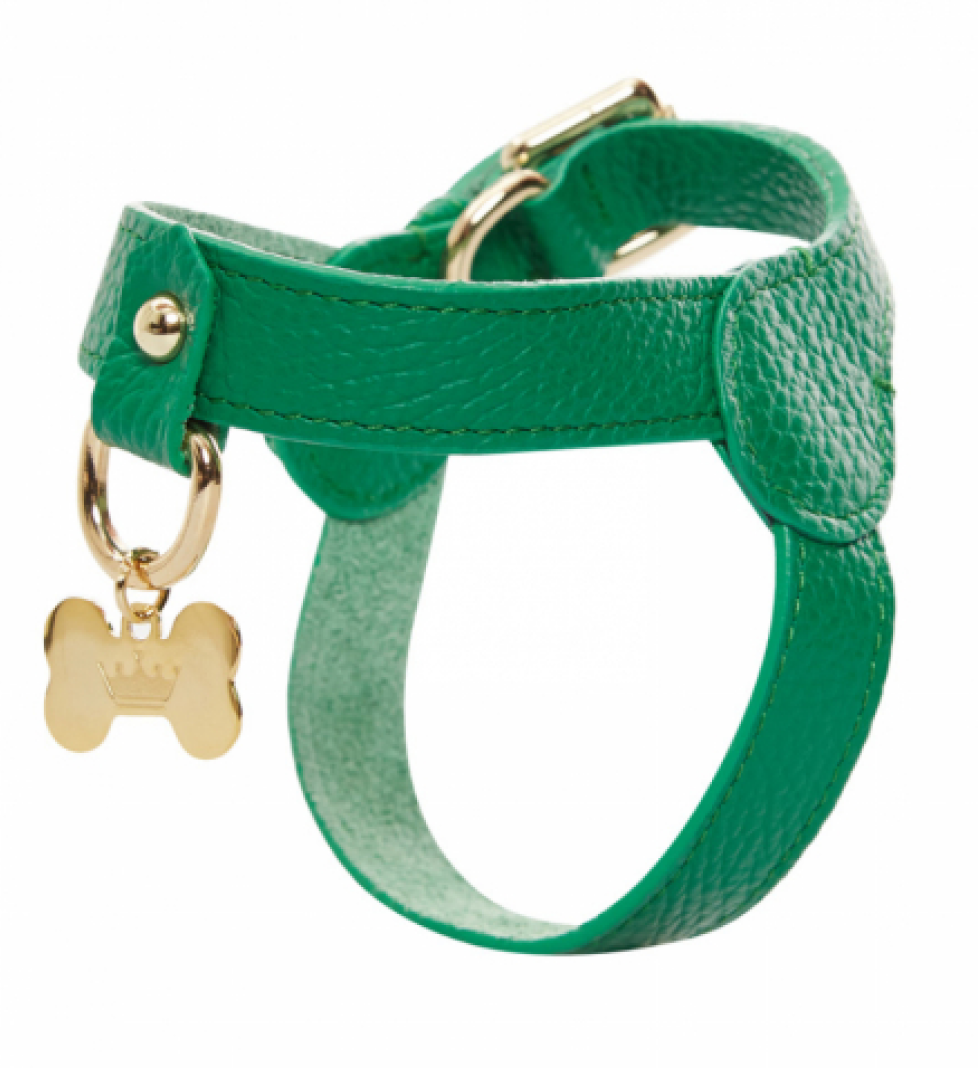 Шлейка MALTIPOO Шкіряна Green