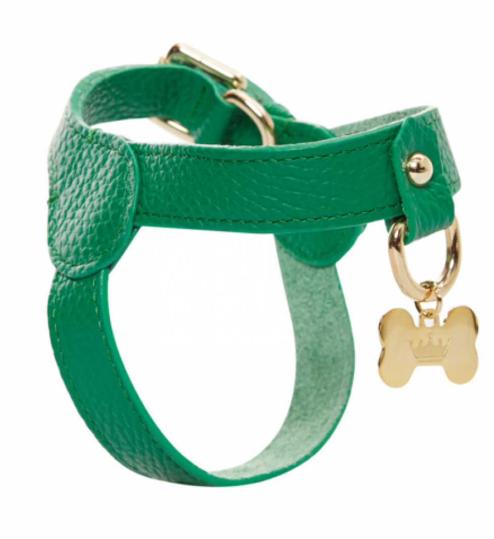 Шлейка MALTIPOO Шкіряна Green