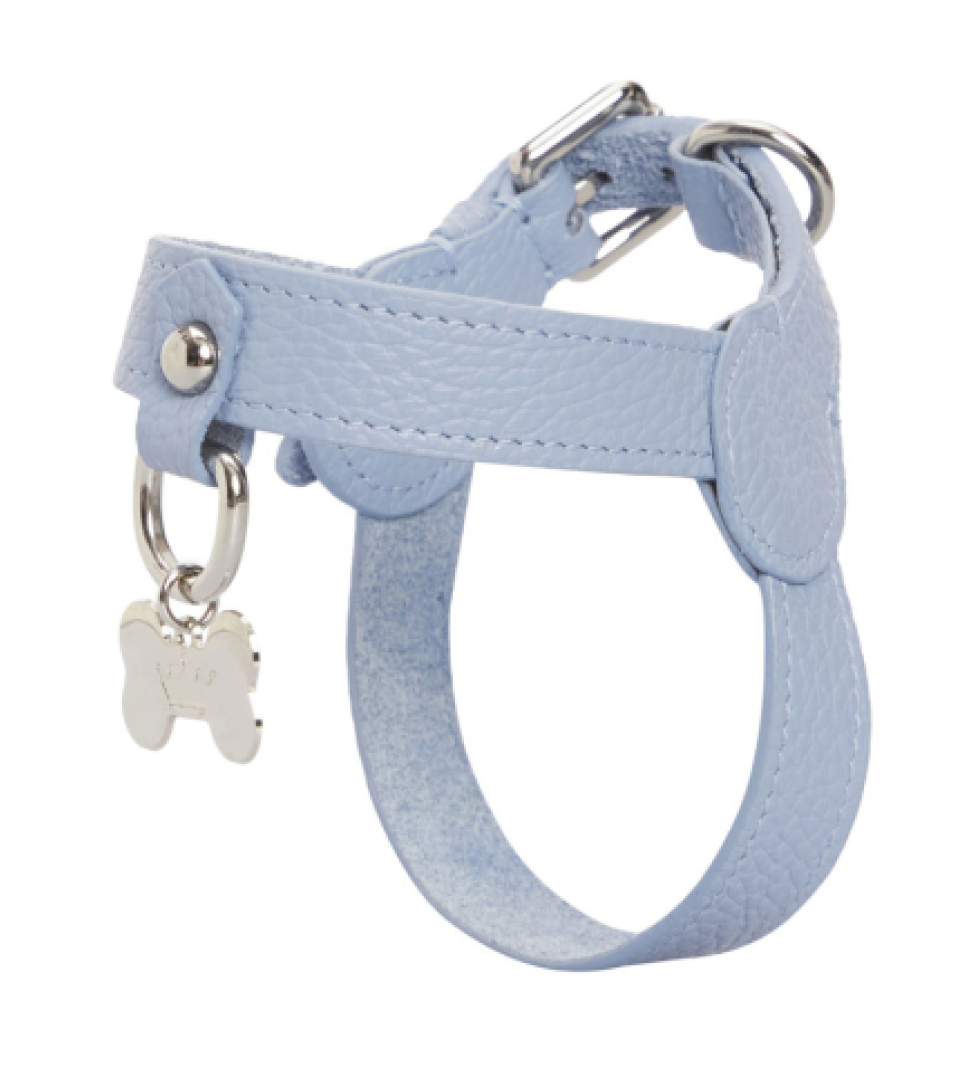 Шлейка MALTIPOO Шкіряна Light Blue