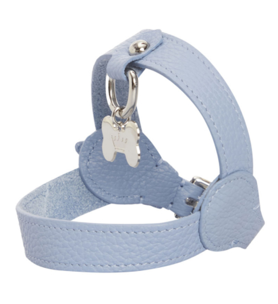 Шлейка MALTIPOO Шкіряна Light Blue