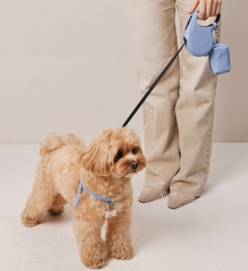 Шлейка MALTIPOO Шкіряна Light Blue