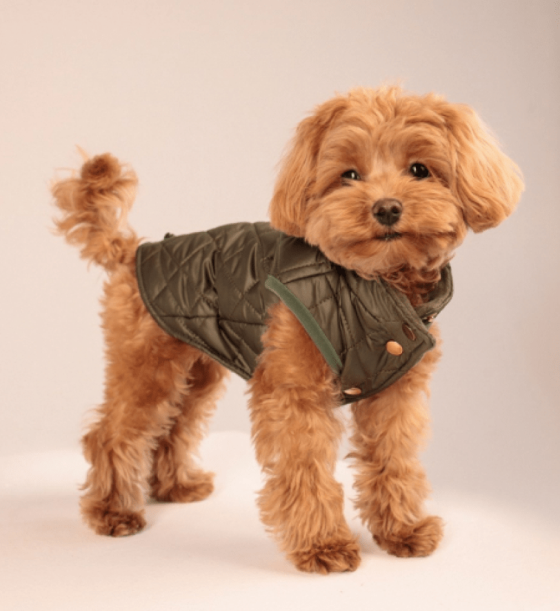 Жилетка MALTIPOO Стьобана Khaki