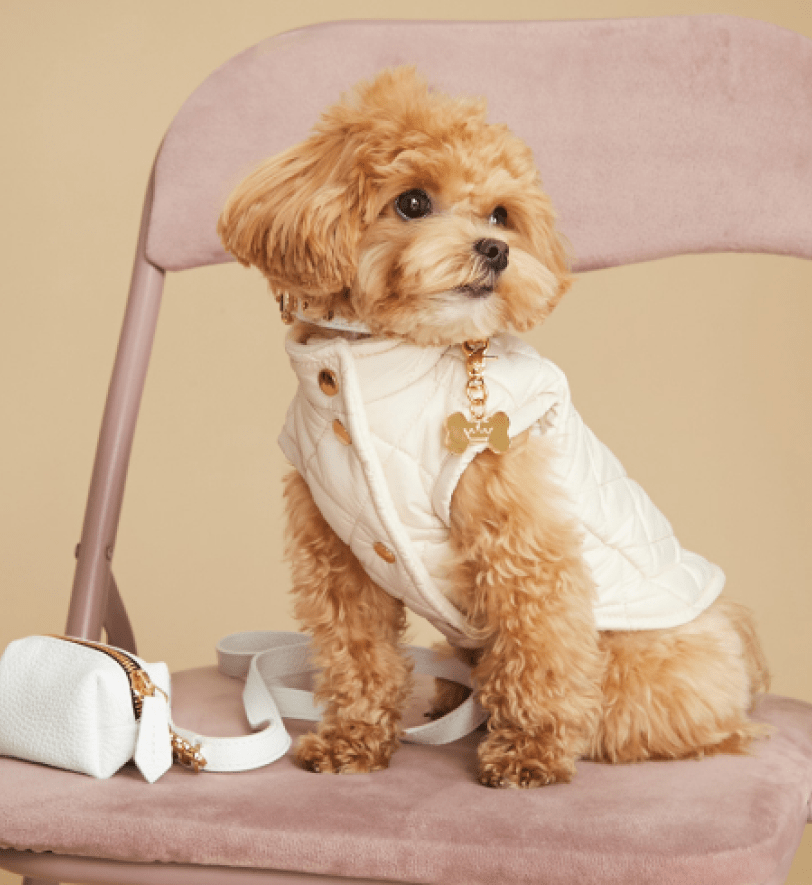 Жилетка MALTIPOO Стьобана Milk