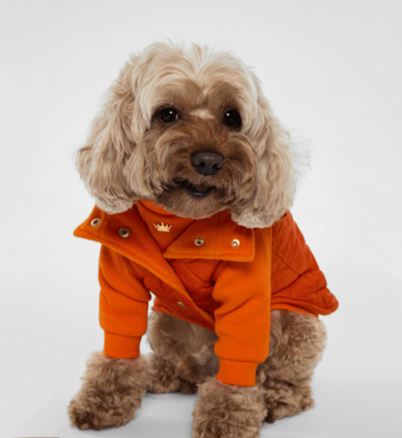 Жилетка MALTIPOO Стьобана Orange