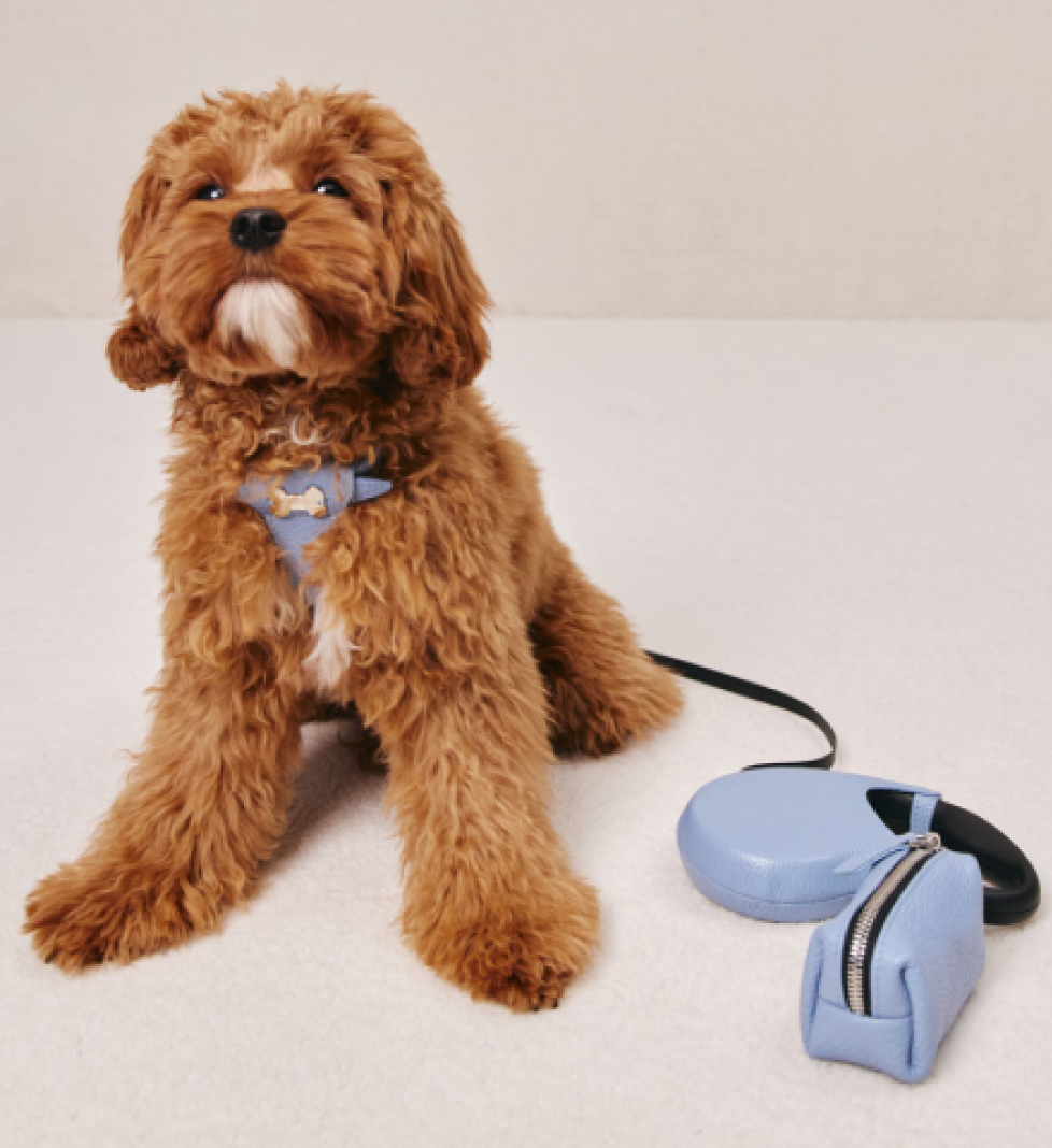 Рулетка з сумкою MALTIPOO Light Blue