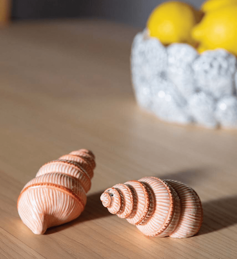 Сільничка і перечниця &k amsterdam Shell