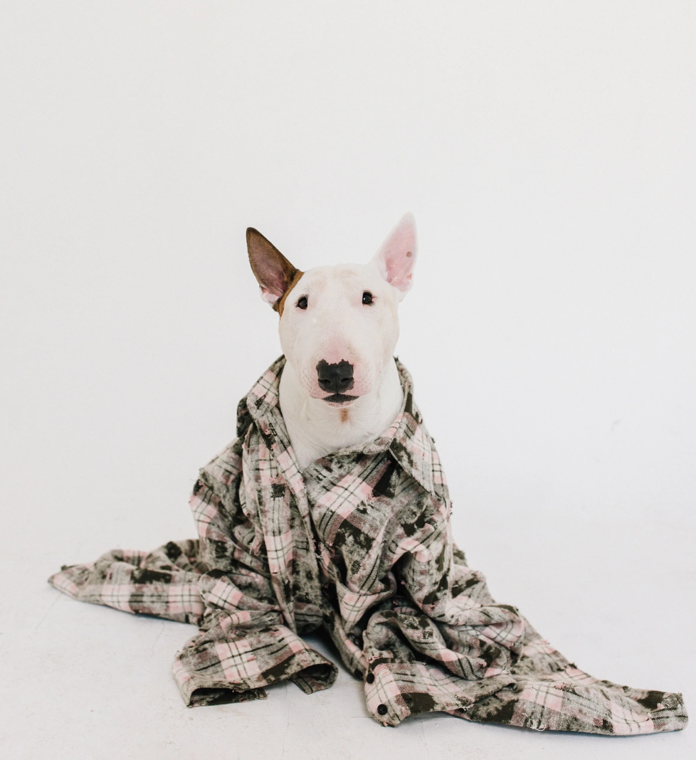 Сорочка SAYYA трансформер