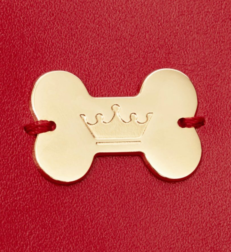 Обкладинка на ветеринарний паспорт MALTIPOO Pawsport