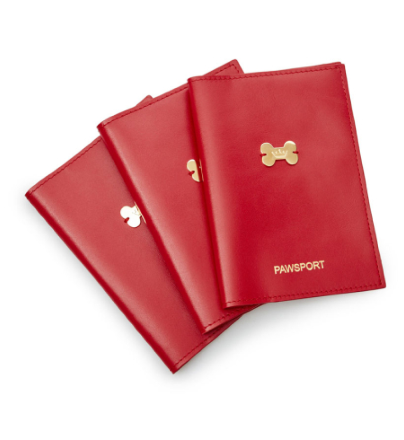 Обкладинка на ветеринарний паспорт MALTIPOO Pawsport