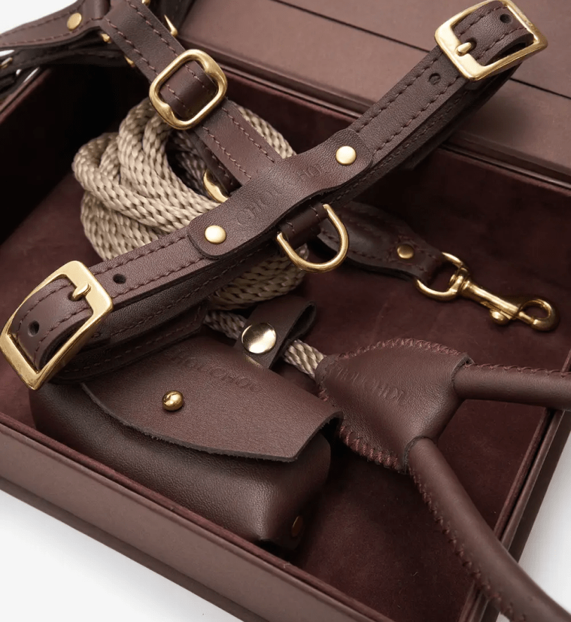 Комплект аксесуарів CHOUCHOU для собак (шлея+повідець+диспенсер) шоколадний