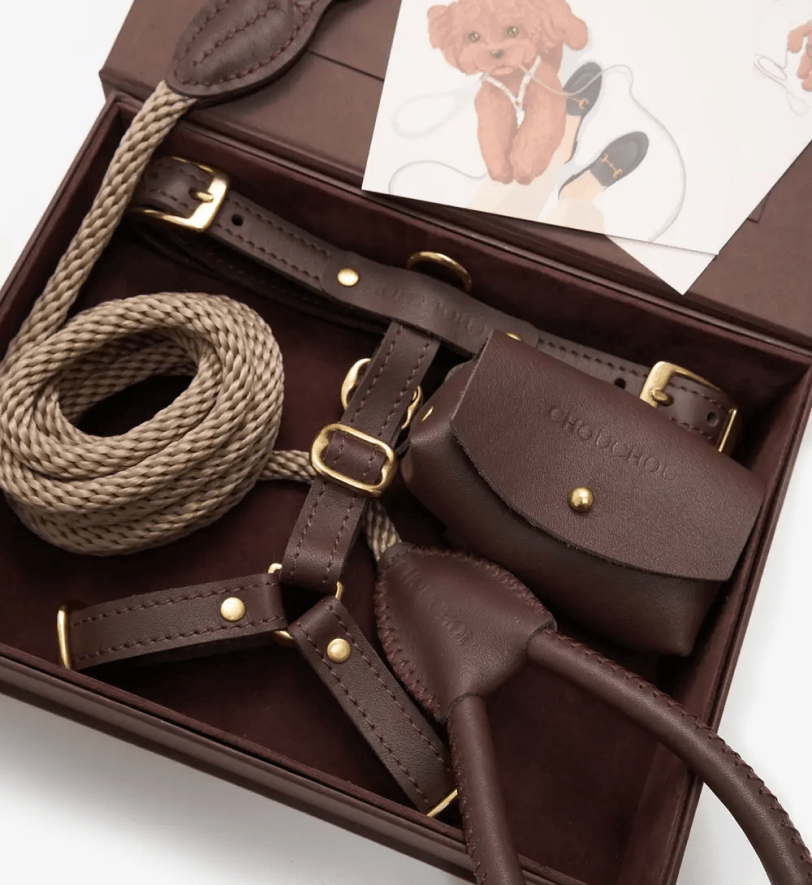 Комплект аксесуарів CHOUCHOU для собак (шлея+повідець+диспенсер) шоколадний