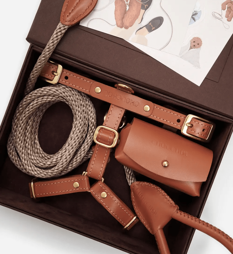 Комплект аксесуарів CHOUCHOU для собак (шлея+повідець+диспенсер) рудий