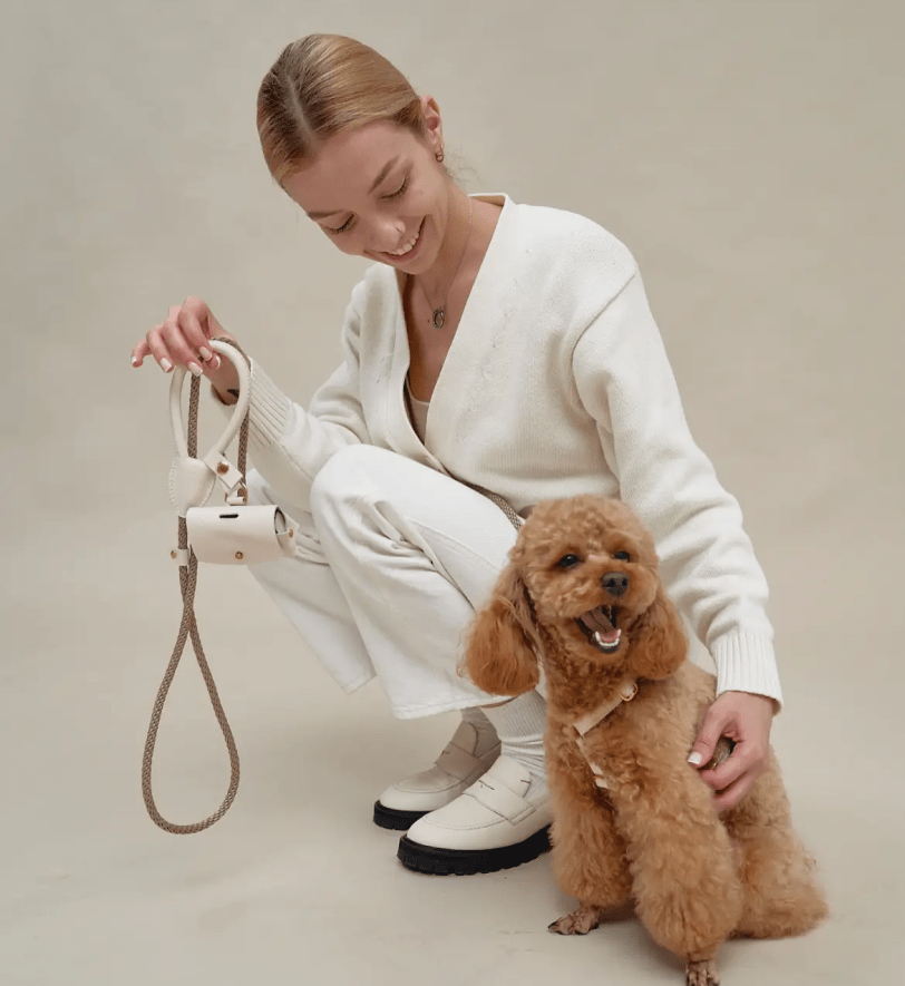 Комплект аксесуарів CHOUCHOU для собак (шлея+повідець+диспенсер) молочний