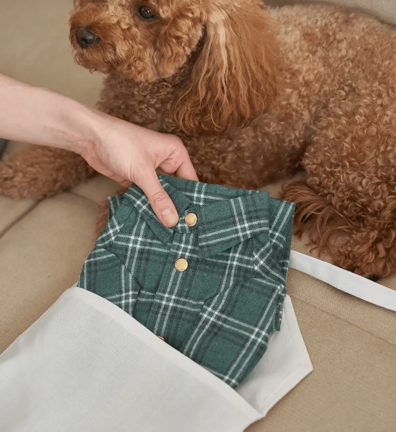 Сорочка CHOUCHOU картата для собак зелена