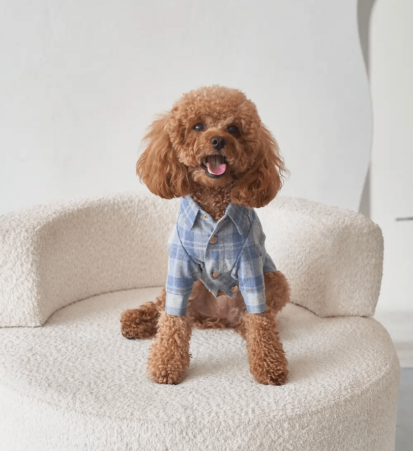 Сорочка CHOUCHOU картата для собак блакитна