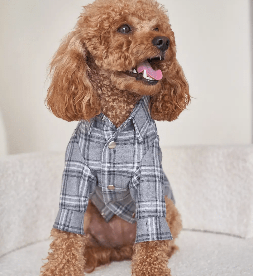 Сорочка CHOUCHOU картата для собак світло-сіра