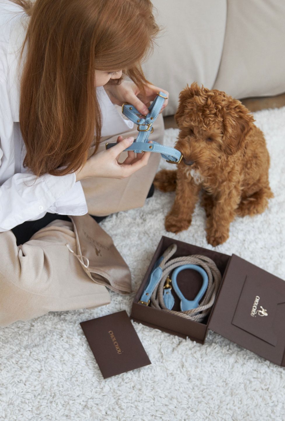 CHOUCHOU accessory set for dogs (harness + leash + dispenser) black