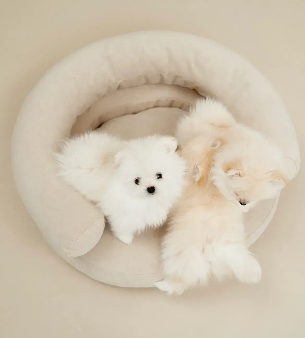 CHOUCHOU orthopedic bed for dogs “Marshmallow” brown