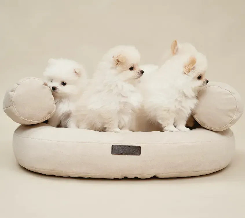 CHOUCHOU orthopedic bed for dogs “Marshmallow” brown