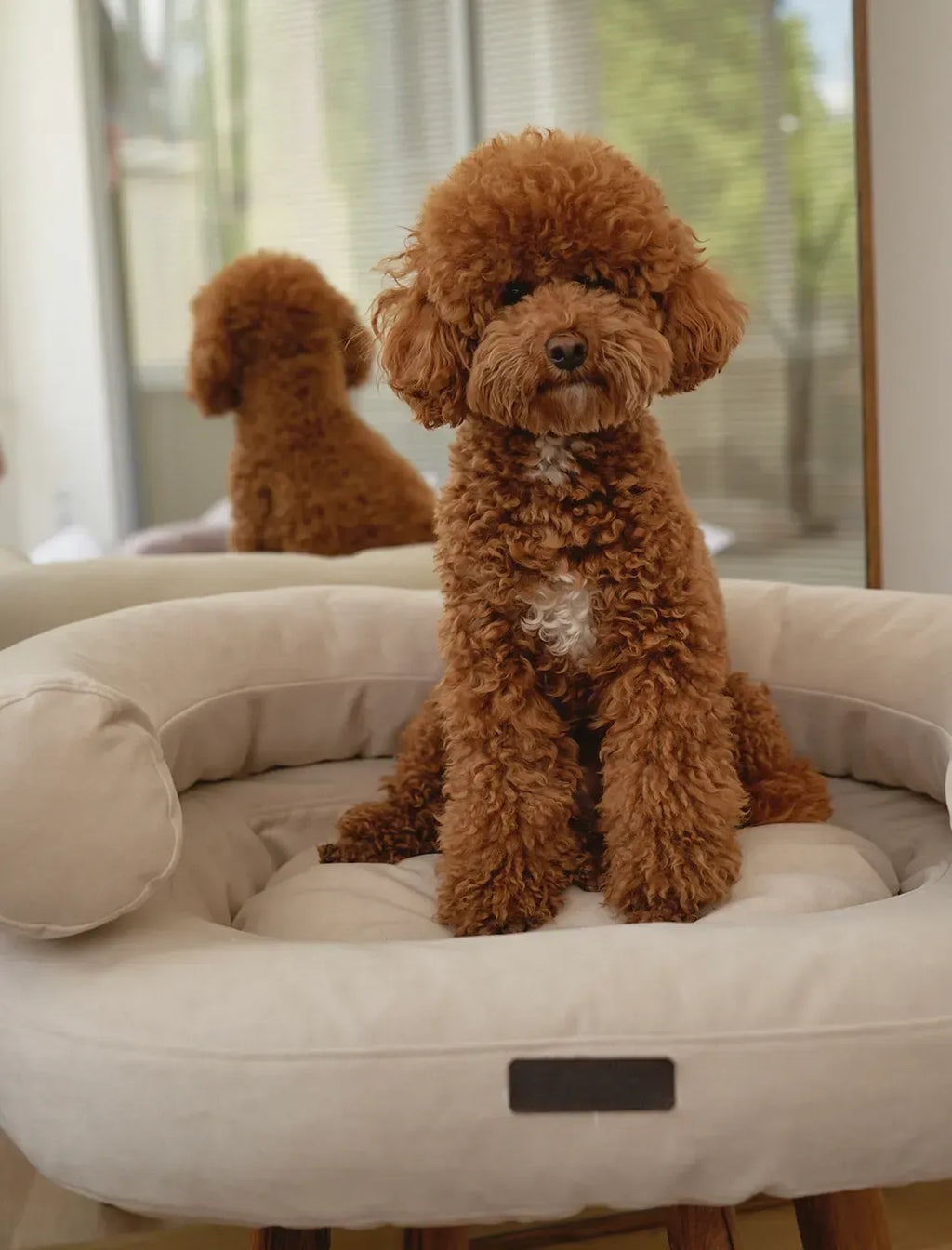 CHOUCHOU orthopedic bed for dogs “Marshmallow” brown