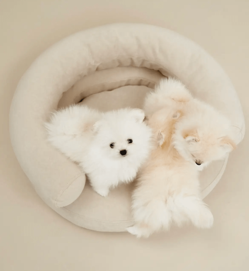 Лежак CHOUCHOU ортопедичний для собак "Marshmallow" бежевий