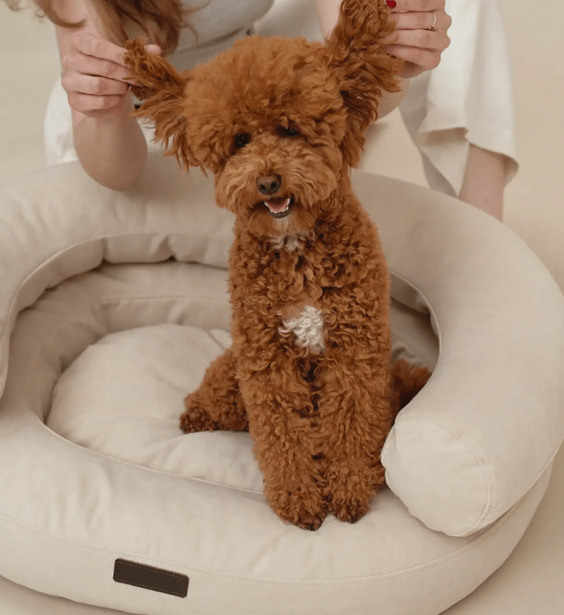 Лежак CHOUCHOU ортопедичний для собак "Marshmallow" бежевий