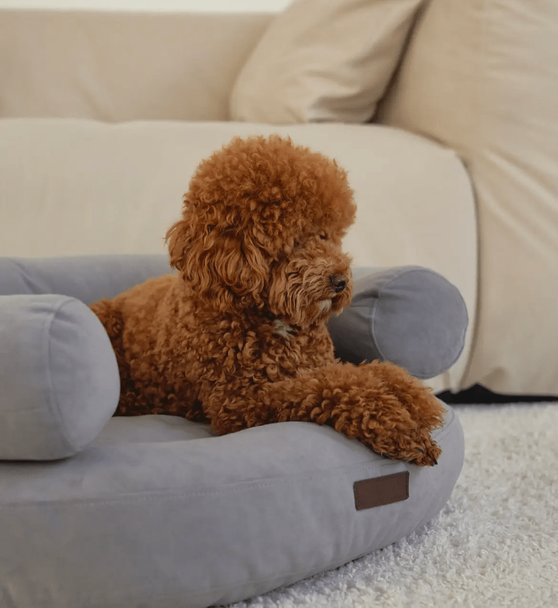 Лежак CHOUCHOU ортопедичний для собак "Marshmallow" сіро-блакитний