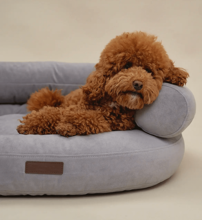 Лежак CHOUCHOU ортопедичний для собак "Marshmallow" сіро-блакитний