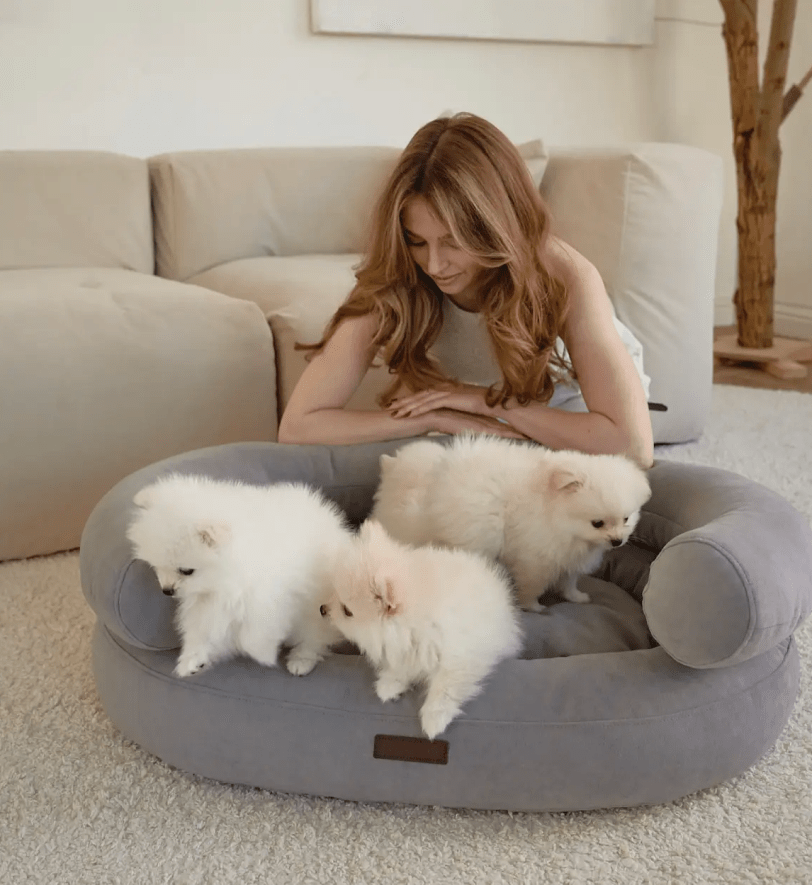 Лежак CHOUCHOU ортопедичний для собак "Marshmallow" сіро-блакитний