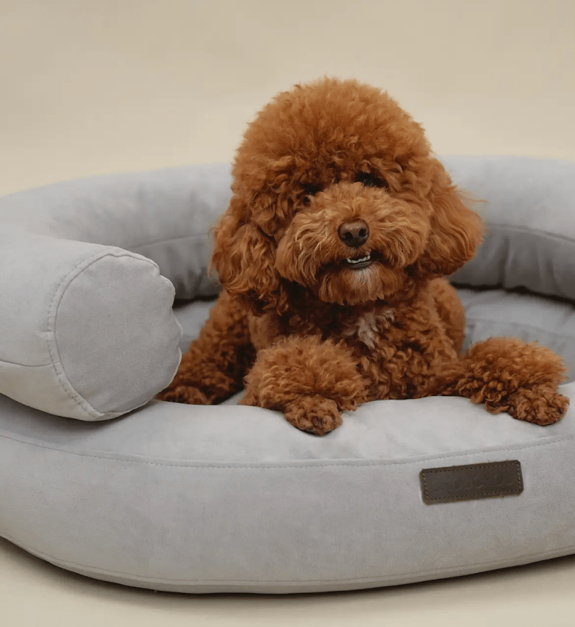 Лежак CHOUCHOU ортопедичний для собак "Marshmallow" світло-сірий