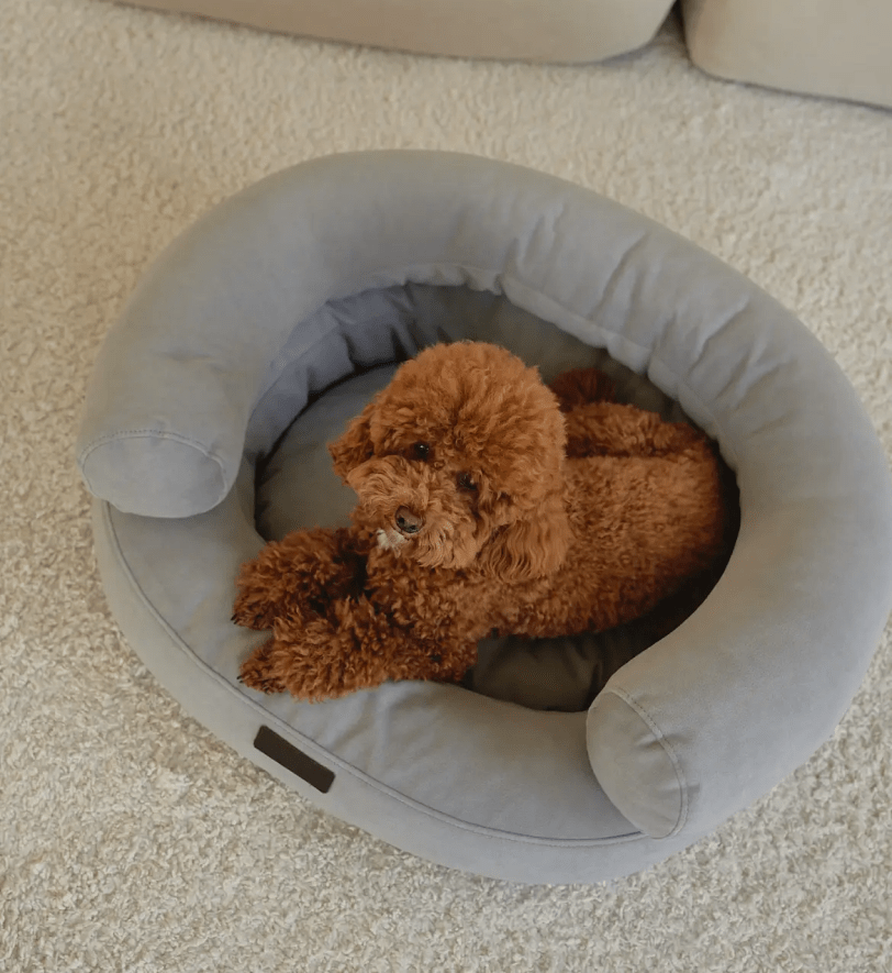 Лежак CHOUCHOU ортопедичний для собак "Marshmallow" світло-сірий