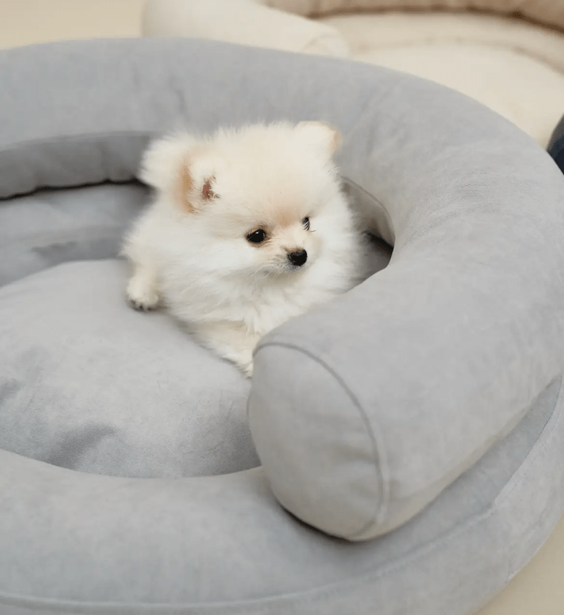 Лежак CHOUCHOU ортопедичний для собак "Marshmallow" світло-сірий