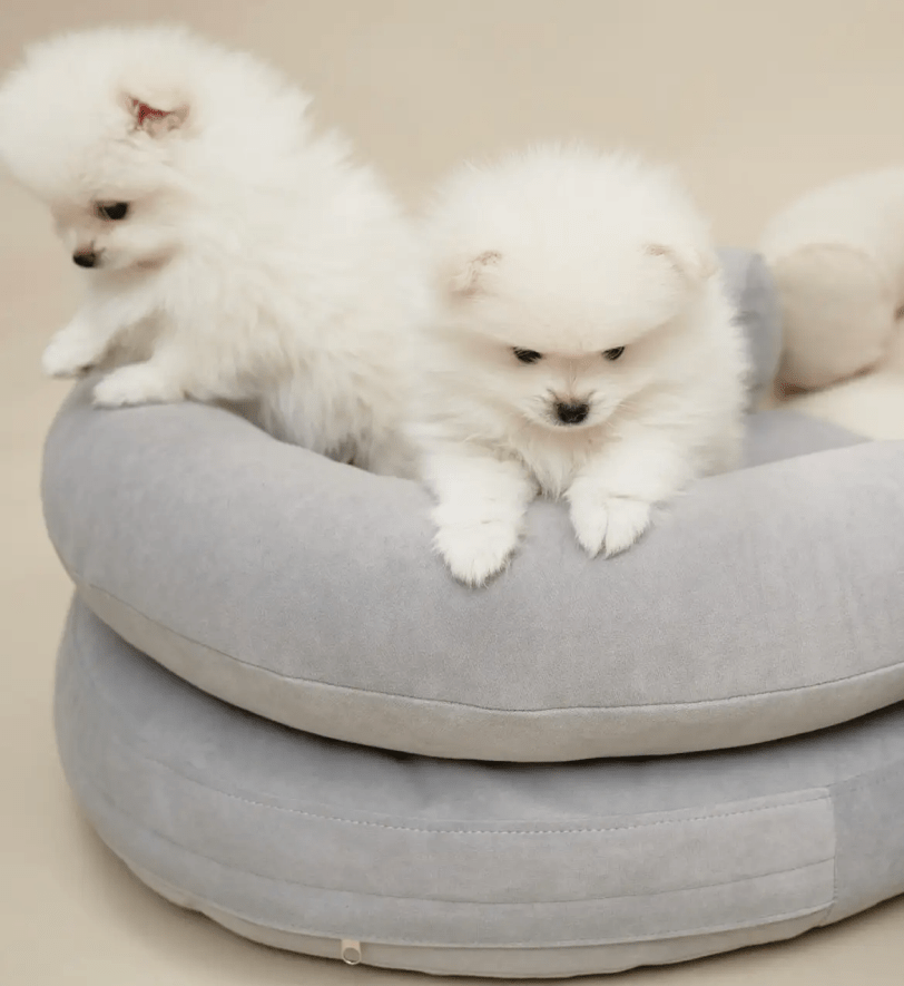 Лежак CHOUCHOU ортопедичний для собак "Marshmallow" світло-сірий