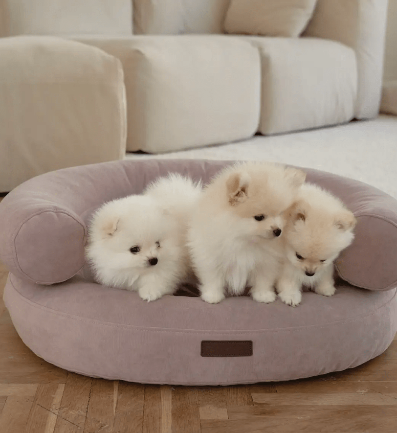 Лежак CHOUCHOU ортопедичний для собак "Marshmallow" рожевий