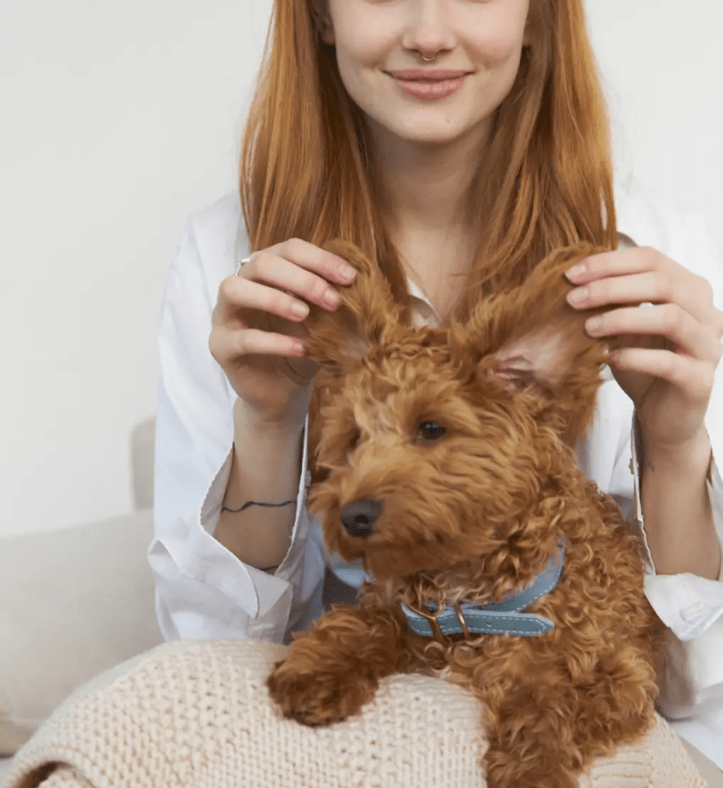 Пледик CHOUCHOU для собак "Chess" бежевий