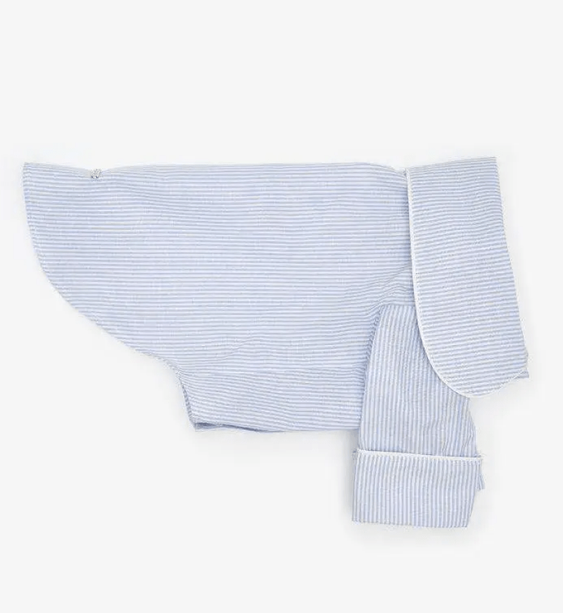 Сорочка CHOUCHOU з кантом для собак блакитна в дрібну полоску