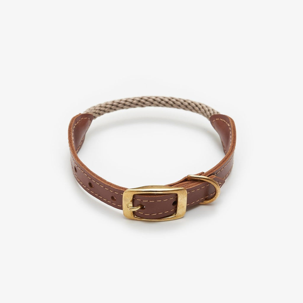 CHOUCHOU Leather collar with rope for dogs "Caviar Terra" brown