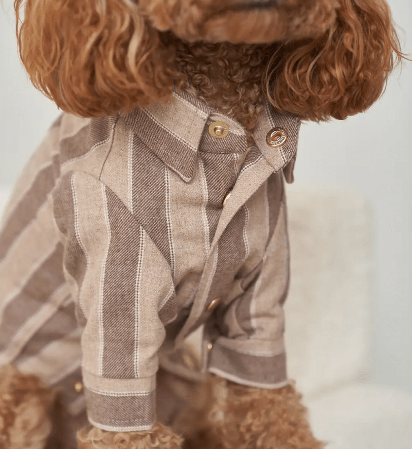 Сорочка CHOUCHOU у полоску для собак бежева