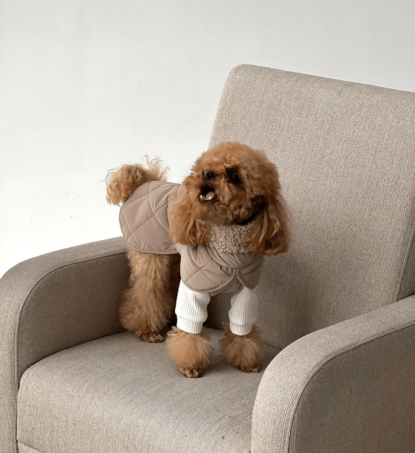 Попона CHOUCHOU зимова для собак "Waffle" бежева з тауп хутром