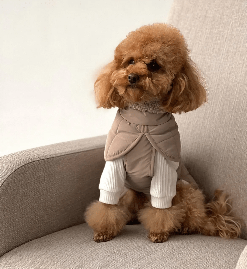 Попона CHOUCHOU зимова для собак "Waffle" бежева з тауп хутром