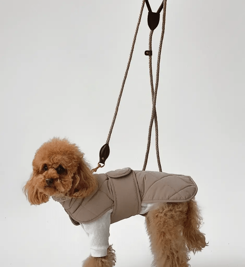 Попона CHOUCHOU зимова для собак "Waffle" бежева з тауп хутром