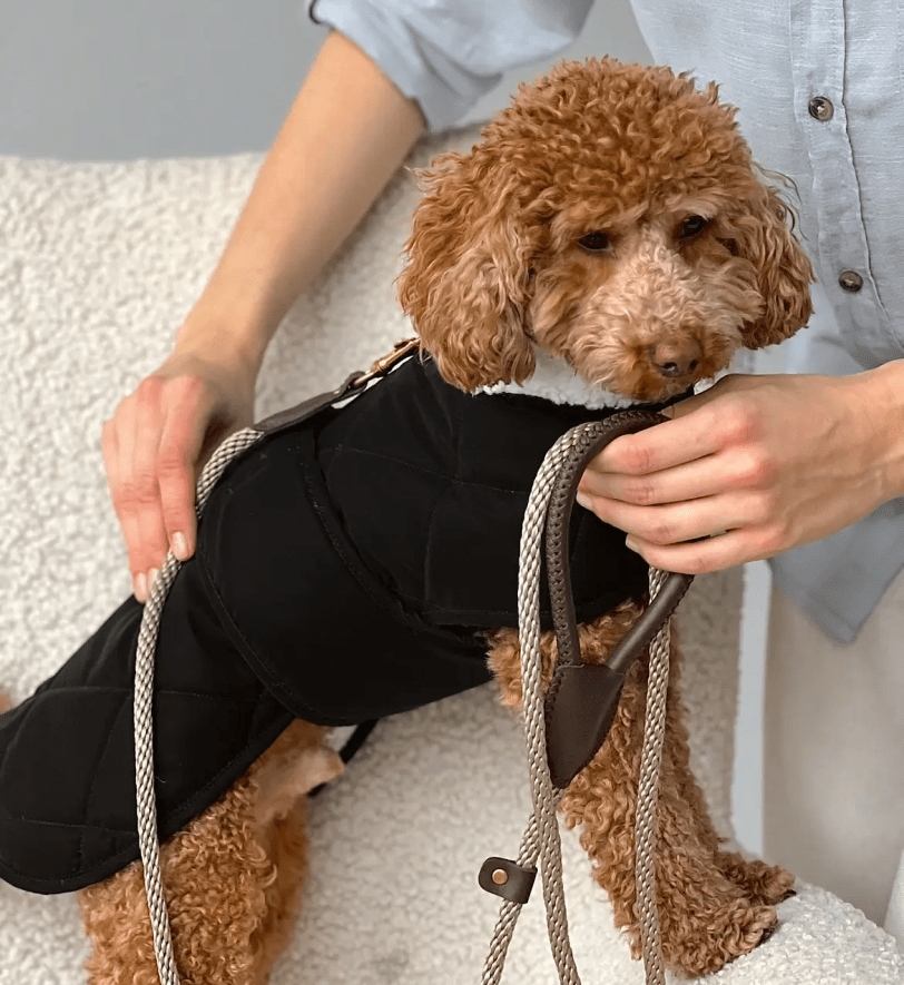 Попона CHOUCHOU зимова для собак "Waffle" чорна з молочним хутром